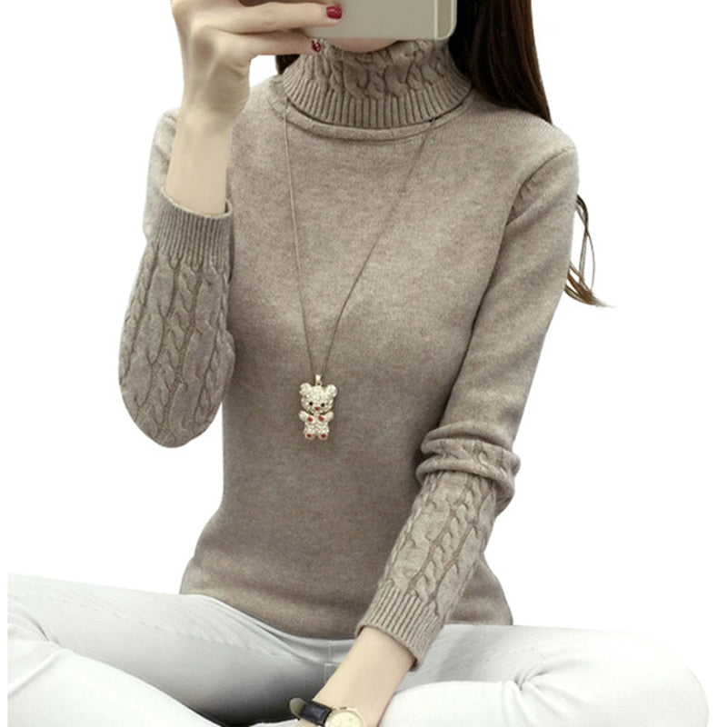 Warm TurtleNeck Sweater