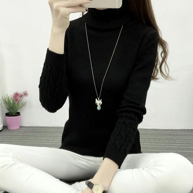 Warm TurtleNeck Sweater