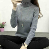 Warm TurtleNeck Sweater