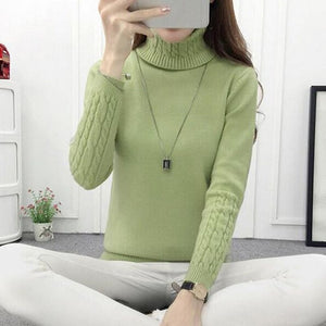 Warm TurtleNeck Sweater