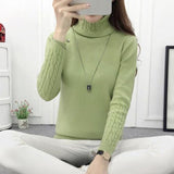 Warm TurtleNeck Sweater