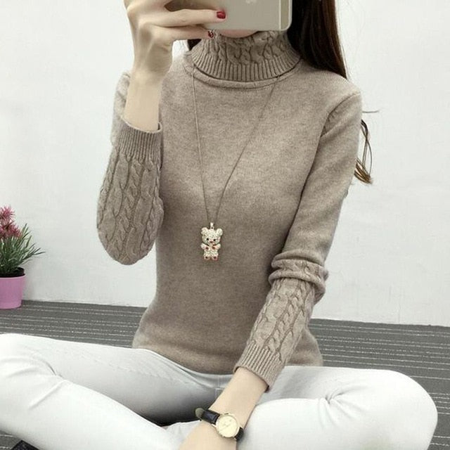 Warm TurtleNeck Sweater