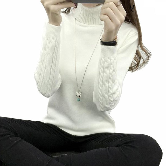Warm TurtleNeck Sweater